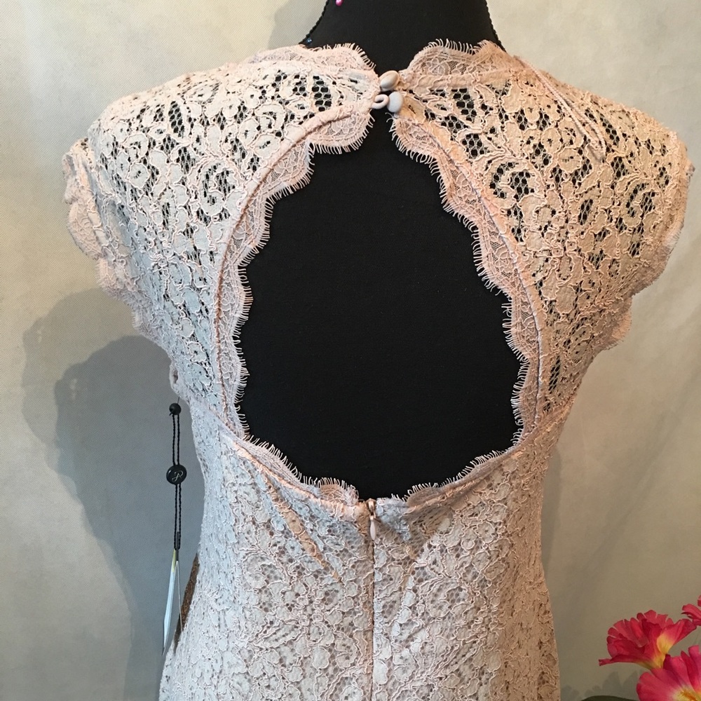 *NWT - Adrianna Papell Lace Sheath